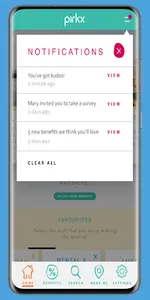 Pirkx screenshot 2