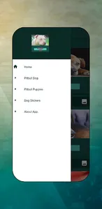 Pitbull Images screenshot 0