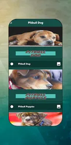 Pitbull Images screenshot 1
