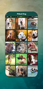 Pitbull Images screenshot 3