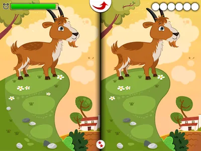 Find the Differences - Animals screenshot 11