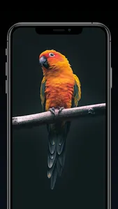 PixelPerfect : Wallpaper App screenshot 3