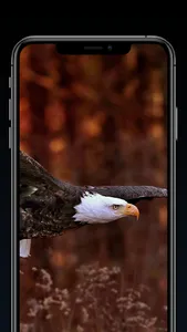 PixelPerfect : Wallpaper App screenshot 6