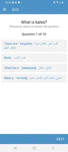 Offline English Arabic Diction screenshot 2