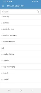 Offline English Czech Dictiona screenshot 1