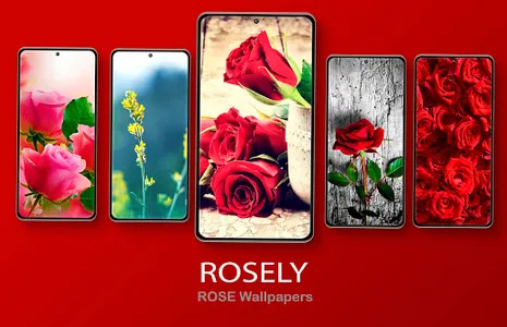 Rosely - Rose wallpapers HD screenshot 0