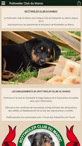 Rottweiler Club du Maroc screenshot 2