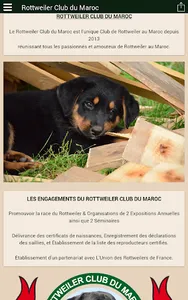 Rottweiler Club du Maroc screenshot 6