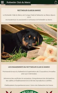 Rottweiler Club du Maroc screenshot 9