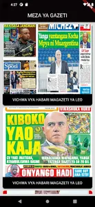 MEZA YA GAZETI TANZANIA screenshot 1