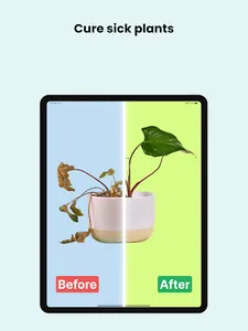 PlantCam: AI Plant Identifier screenshot 13