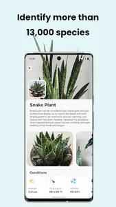 PlantCam: AI Plant Identifier screenshot 2