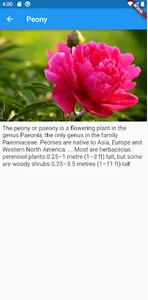 simple peony flower screenshot 5