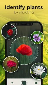 Nature Detect - Plant Identify screenshot 16