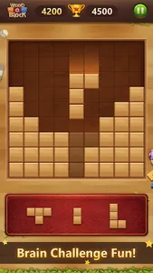 Wood Block Puzzle Classic screenshot 2