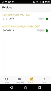 Falla Cami Nou screenshot 4