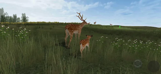 Life Of Deer Remastered screenshot 8