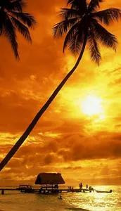 Beautiful Place Wallpaper screenshot 4