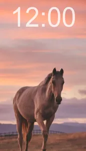Horse Wallpapers screenshot 1