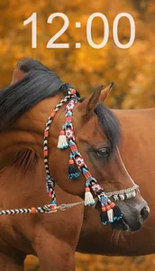 Horse Wallpapers screenshot 3