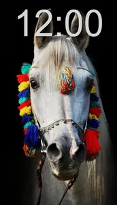 Horse Wallpapers screenshot 4