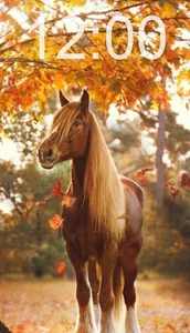 Horse Wallpapers screenshot 5