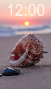 Seashell Wallpapers screenshot 0