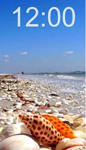 Seashell Wallpapers screenshot 3