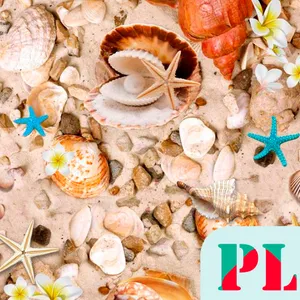 Seashell Wallpapers screenshot 6