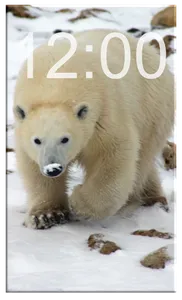 Animals Wallpapers HD OFFLINE screenshot 1