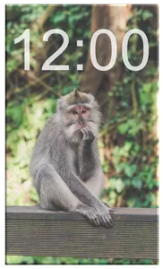 Animals Wallpapers HD OFFLINE screenshot 3