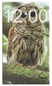 Animals Wallpapers HD OFFLINE screenshot 5
