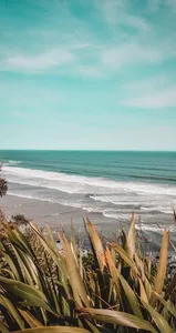 Beach Wallpapers OFFLINE screenshot 3