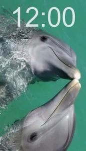 Dolphin Wallpapers screenshot 2