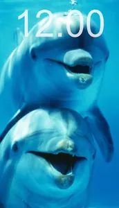 Dolphin Wallpapers screenshot 3