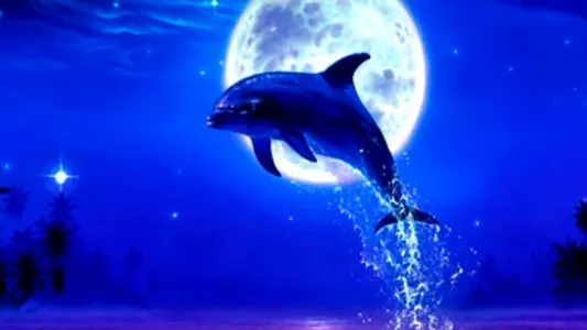 Dolphin Wallpapers screenshot 5