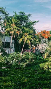 Garden Wallpapers OFFLINE screenshot 2