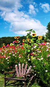 Garden Wallpapers OFFLINE screenshot 5
