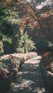 Garden Wallpapers OFFLINE screenshot 6
