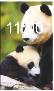 Wallpapers Panda Cute HD Offli screenshot 0