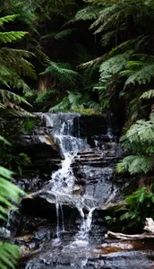 Waterfall Wallpaper HD OFFLINE screenshot 3