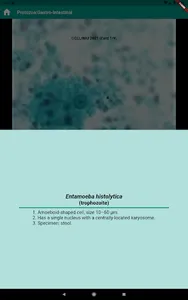 Human Parasitology Flashcard screenshot 11