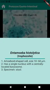 Human Parasitology Flashcard screenshot 3