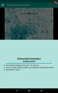 Human Parasitology Flashcard screenshot 7