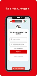 Sistema Información y Gestión screenshot 3