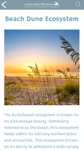 Amelia Island Guide screenshot 0