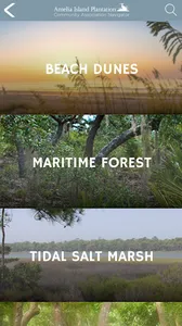 Amelia Island Guide screenshot 1