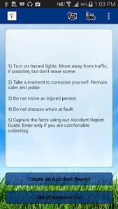 iConnexion Agency screenshot 2