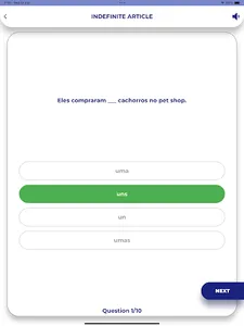 Portuguese GrammarーLesson・Test screenshot 7