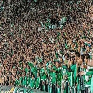ELMasry Talent screenshot 2